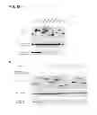 Fig. 23 - Methods for screening inhibitors of tumor associated protein aggregation