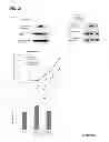 Fig. 28 - Methods for screening inhibitors of tumor associated protein aggregation