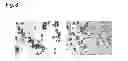 Fig. 07 - BIOLOGICAL INORGANIC COMPOUND COMPLEX HAVING REDUCED OXYGEN AND HIGH REDUCING ABILITY