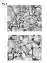 Fig. 08 - BIOLOGICAL INORGANIC COMPOUND COMPLEX HAVING REDUCED OXYGEN AND HIGH REDUCING ABILITY