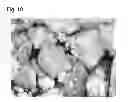 Fig. 09 - BIOLOGICAL INORGANIC COMPOUND COMPLEX HAVING REDUCED OXYGEN AND HIGH REDUCING ABILITY