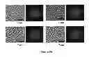 Fig. 07 - COLLOIDAL LITHOGRAPHY METHODS FOR FABRICATING MICROSCOPIC AND NANOSCOPIC PARTICLE PATTERNS ON SUBSTRATE SURFACES