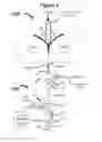 Fig. 07 - Apparatus and method for sintering proppants