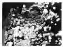 Fig. 01 - Coating Material for Metal Cans and Metal Can Coated with the Same