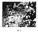 Fig. 02 - Coating Material for Metal Cans and Metal Can Coated with the Same
