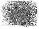 Fig. 01 - Process for producing mono-rotomoulded articles prepared from blends comprising polyethylene