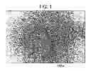 Fig. 02 - Process for producing mono-rotomoulded articles prepared from blends comprising polyethylene