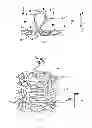 Fig. 03 - Tufted fibrous web