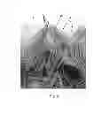 Fig. 05 - Tufted fibrous web