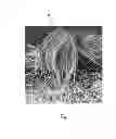 Fig. 09 - Tufted fibrous web