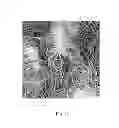 Fig. 11 - Tufted fibrous web