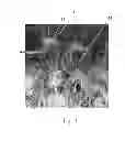 Fig. 12 - Tufted fibrous web