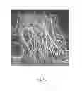 Fig. 14 - Tufted fibrous web