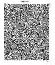 Fig. 09 - Simulated Brush Stroke System