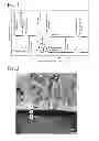 Fig. 02 - Surface-modified, WC-based cemented carbide member, hard-coated, WC-based cemented carbide member, and their production methods