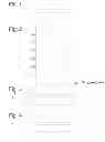 Fig. 02 - STEEL SHEET AND FORMED PART