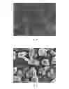 Fig. 03 - TiAgN COATING LAYER, TiAgN COATING METHOD AND TiAgN COATING APPARATUS
