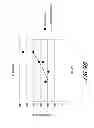 Fig. 11 - Electrodes, electrochemical cells, and methods of forming electrodes and electrochemical cells