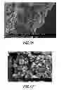 Fig. 16 - Electrodes, electrochemical cells, and methods of forming electrodes and electrochemical cells