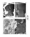 Fig. 17 - Electrodes, electrochemical cells, and methods of forming electrodes and electrochemical cells