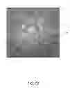 Fig. 18 - Electrodes, electrochemical cells, and methods of forming electrodes and electrochemical cells