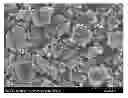 Fig. 01 - ELECTRODE PASTE FOR SOLID OXIDE FUEL CELL, SOLID OXIDE FUEL CELL USING THE SAME, AND FABRICATING METHOD THEREOF