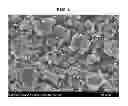 Fig. 02 - ELECTRODE PASTE FOR SOLID OXIDE FUEL CELL, SOLID OXIDE FUEL CELL USING THE SAME, AND FABRICATING METHOD THEREOF