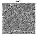 Fig. 07 - ELECTRODE PASTE FOR SOLID OXIDE FUEL CELL, SOLID OXIDE FUEL CELL USING THE SAME, AND FABRICATING METHOD THEREOF
