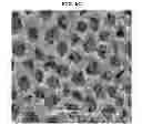 Fig. 08 - ELECTRODE PASTE FOR SOLID OXIDE FUEL CELL, SOLID OXIDE FUEL CELL USING THE SAME, AND FABRICATING METHOD THEREOF