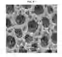 Fig. 09 - ELECTRODE PASTE FOR SOLID OXIDE FUEL CELL, SOLID OXIDE FUEL CELL USING THE SAME, AND FABRICATING METHOD THEREOF