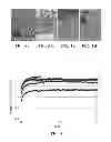 Fig. 04 - Metal composite material for attachment to ceramic