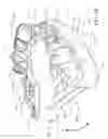 Fig. 03 - Method of making a dental arch model