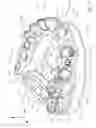 Fig. 10 - Method of making a dental arch model