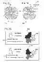 Fig. 07 - CAREER HISTORY EXERCISE WITH 