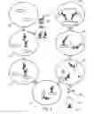 Fig. 05 - Methods for universal target capture