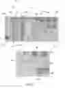 Fig. 06 - Methods for universal target capture