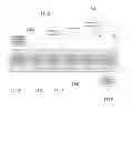 Fig. 02 - Sample entry