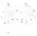 Fig. 19 - Sample entry