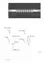 Fig. 68 - Universal sample preparation system and use in an integrated analysis system