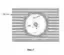 Fig. 06 - Diagnostic and sample preparation devices and methods