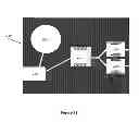 Fig. 13 - Diagnostic and sample preparation devices and methods