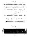 Fig. 02 - Compositions and methods for analyzing immobilized nucleic acids