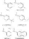 Fig. 10 - Primers with modified phosphate and base in allele-specific PCR