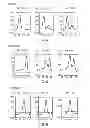 Fig. 03 - Probe for detection of polymorphism in EGFR gene, amplification primer, and use thereof
