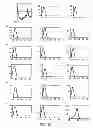Fig. 06 - Probe for detection of polymorphism in EGFR gene, amplification primer, and use thereof