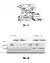 Fig. 03 - Mutations in the epidermal growth factor receptor gene