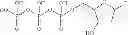 Fig. 06 - Methods, compositions and kits for the improved detection of small RNA molecules