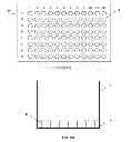 Fig. 07 - Methods, devices, kits and compositions for detecting roundworm