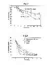 Fig. 04 - MUTANT LUCIFERASE