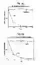 Fig. 06 - MUTANT LUCIFERASE